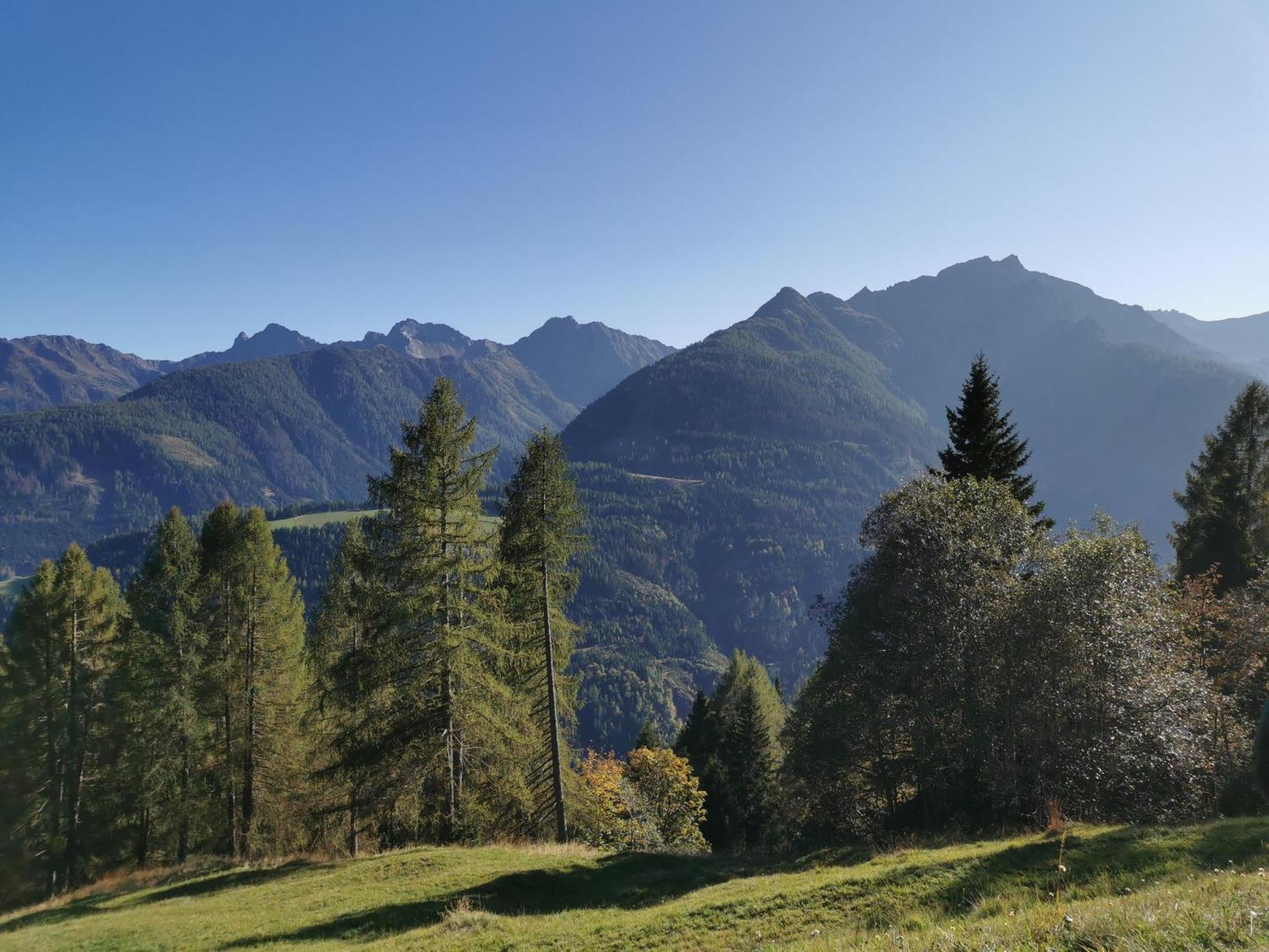 Das Wipferl - Dein Nest In Den Bergen Maria Luggau Exterior foto
